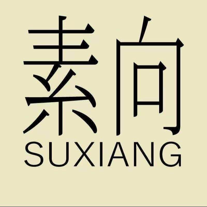 素向极简设计女鞋的LOGO