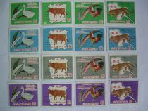 Early Spark Shantou Plant Animal Husbandry 4*4