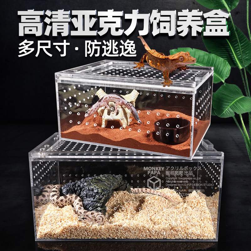 Reptile feeding case acrylic climbing spotting box High light transmission mannequin vigil Toy Snake Corner Frog anti-escape tortoise cylinder spider