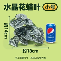 【Маленький】 цветочный восковой лист