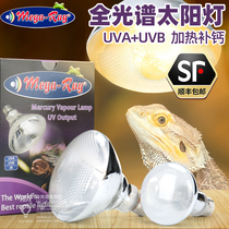 American Mega-ray 6th generation climbing sun lamp 70w 100w 160w full spectrum sun lamp