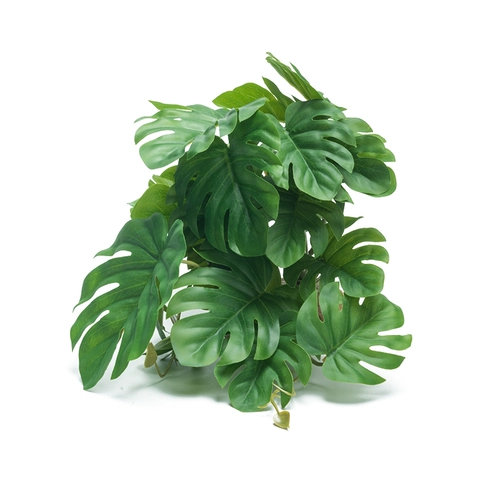 Восхождение на ландшафтные заводы для ландшафта животных живут в крабе, ящерица земли, ящерицы для подъема дождевых лесов Зеленые растения, чтобы избежать декоративных украшений