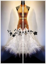 New Century Morden Dance Costume Women Adult New Suit Feather dress Custom Morden Dance Grand Pendulum Skirt Waltz
