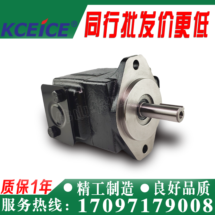 T6C-003-006-008-010-014-017-020-022-028-031- 1R00-B1-A1 Vane pump