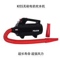 kisss new brushless motor pet-specific super wind power single motor water blower electric heating nap hair dryer