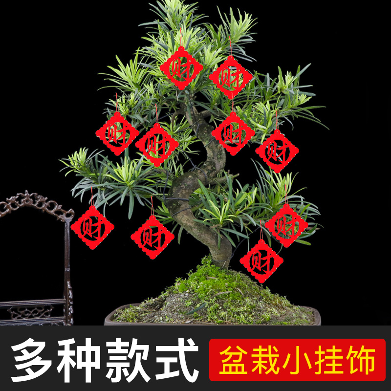 Bonsai size lantern hanging decoration pendant indoor outdoor plant Wedding Opening Scene Festive arrangement Decorative Accessories