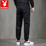 Playboy, мужские демисезонные штаны с пухом, модные повседневные брюки