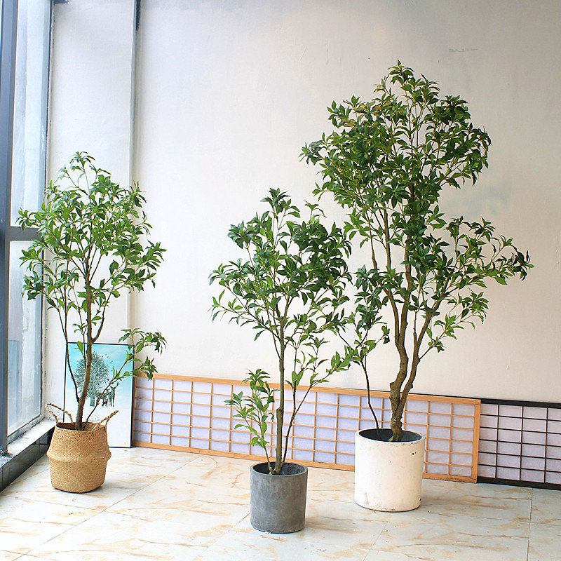 Artificial Horsewood in Japanese-Style Clothing, Hotel Living Room Window Display, Floor-Standing Floral Arrangement, Green Plant Plastic Potted Plant Artificial Horsewood in Japanese-Style Clothing, Hotel Living Room Window Display, Floor-Standing Floral Arrangement, Green Plant Plastic Potted Plant