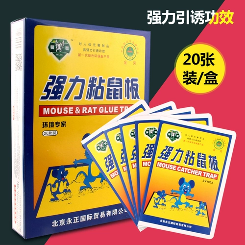 伃 橀紶 姏 伃 姏 姏 鎹 鎹 曢 绁 炲 櫒 姄澶 € € 侀紶 鍏 嬫槦 樿 樿 椹 椹 椹 椹 侀紶 绐濈  寮 寮 寮