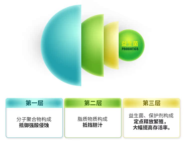 Gudeng chó men vi sinh điều hòa dạ dày kho báu vật nuôi mèo sản phẩm sức khỏe viêm dạ dày chán ăn nôn tiêu chảy Sữa cho chó con 2 tháng tuổi