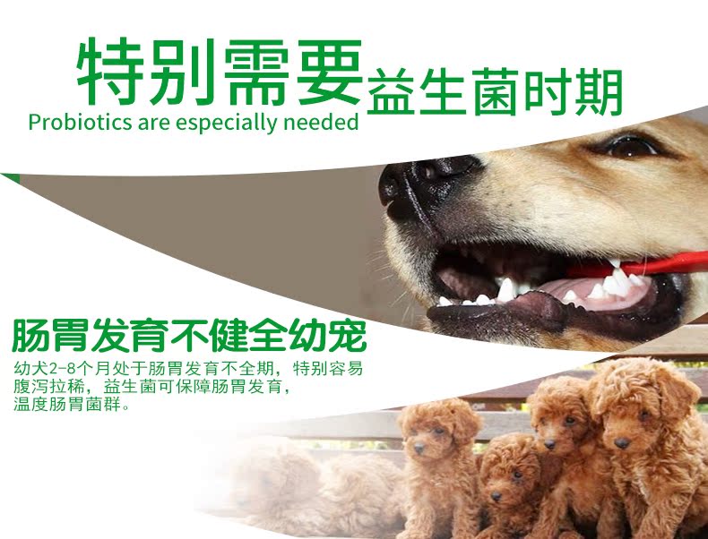 Mạnh mẽ của con chó con men vi sinh vật nuôi mèo điều hòa tiêu hóa táo bón táo bón chán ăn tiêu chảy tiêu chảy chó mèo phổ quát - Cat / Dog Health bổ sung 	sữa cho chó có bầu