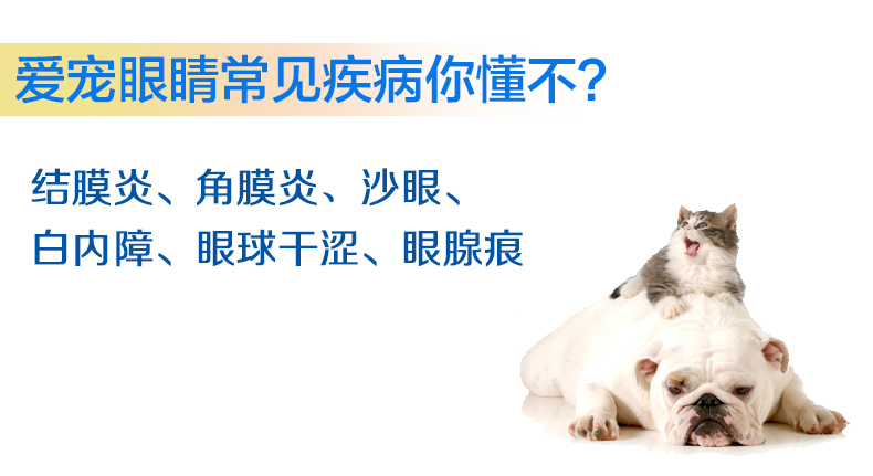 Chó mèo mắt xi-rô thú cưng để nước mắt xi-rô Teddy chó mèo nước mắt biến mất Hoàng thú xanh tinh thể giọt nước mắt 30ml - Thuốc nhỏ mắt thuốc oflovid