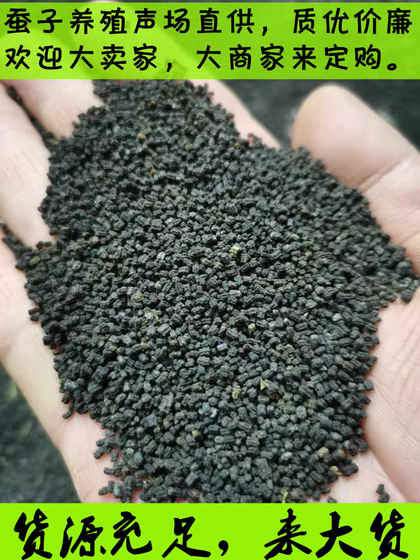 蚕沙枕头散装蚕屎安神助眠成人护颈枕儿童天然新鲜桑蚕砂枕婴儿枕