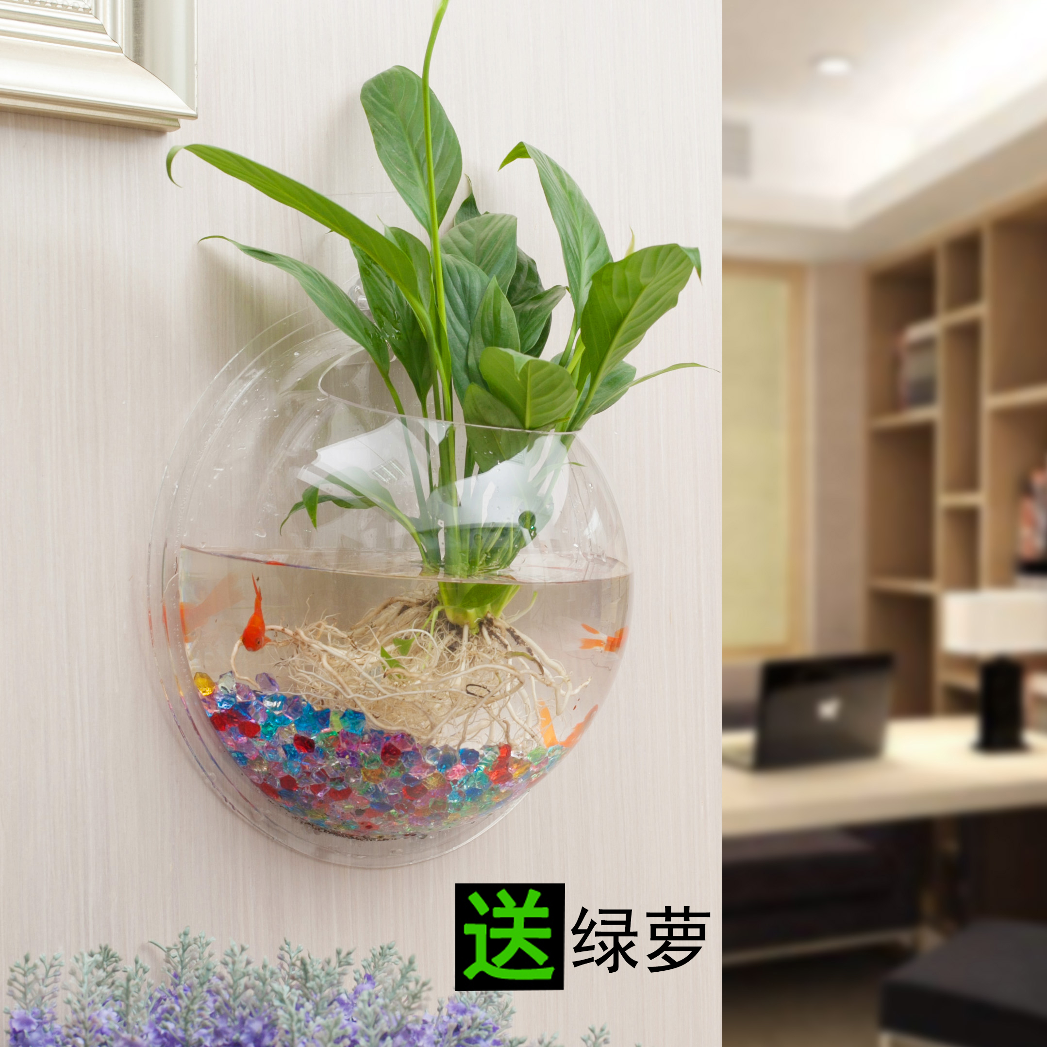 Usd 4 94 Wall Mounted Flower Pot Creative Green Plant Wall Mounted Flower Pot Creative Green Plant Radish Potted Multi Fleshy