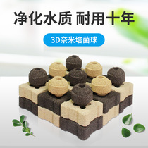 Fish tank filter accessories supplies materials Filter material purification stone Full set of water change-free equipment Water purification stone bottom aquarium artifact