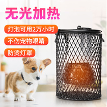 Climbing pet pet ceramic heating lamp Bulb heating lamp Constant temperature warm temperature control heating lamp Dog cat heating