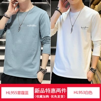 HL955 дымка синяя + HL953 белая