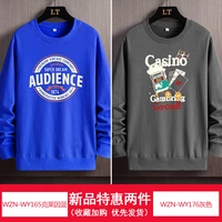 WZN-WY165 Синий Кляйна + WZN-WY176 Серый