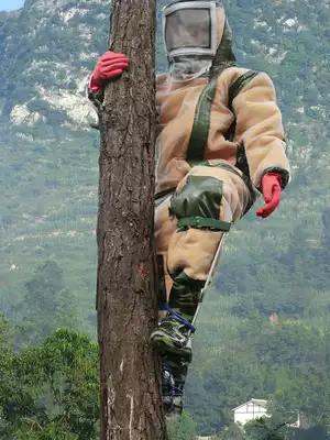 Upright tree climbing artifact climbing tree tree tree artifact special tool non-slip universal foot tie iron shoe Cat Claw