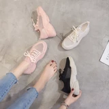 Tide, дышащая обувь, универсальные спортивные туфли, 2020, осенняя, 2019