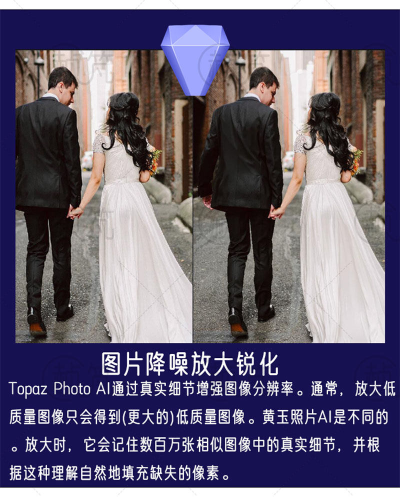 Topaz AI全家桶 视频图片变清晰AI智能调色锐化无损放大降噪修复