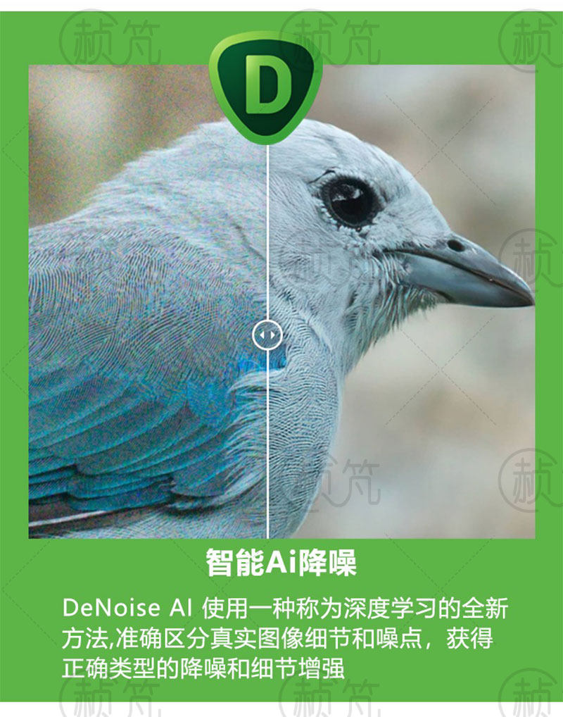 Topaz AI全家桶 视频图片变清晰AI智能调色锐化无损放大降噪修复