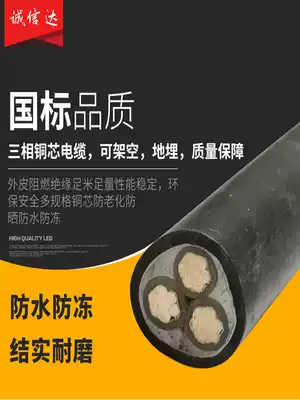 National standard pure copper wire Outdoor copper core three-phase four-core cable 2 3 4 5 core 10 16 25 square copper wire