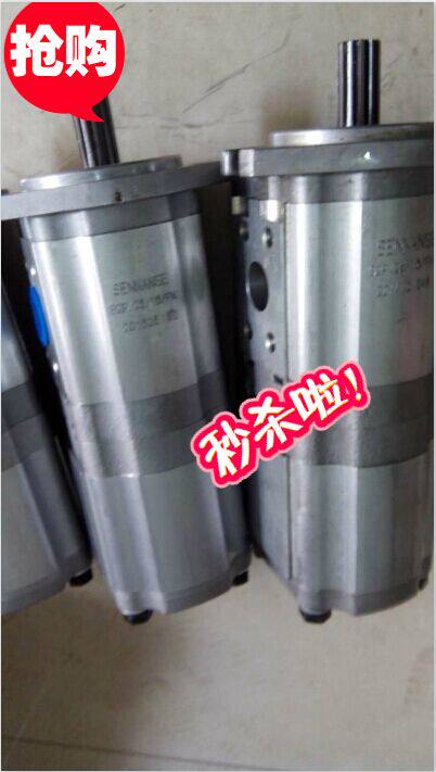 (boutique) B2P 25 16 PN gear oil pumps-Taobao