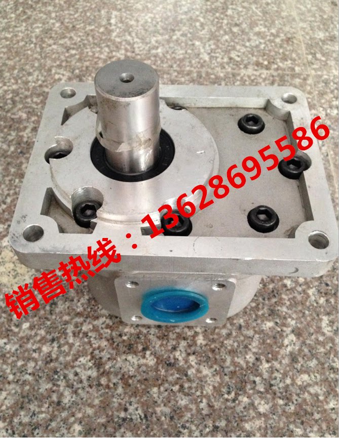 Gear pump CB-100P gear oil pump CB-100P