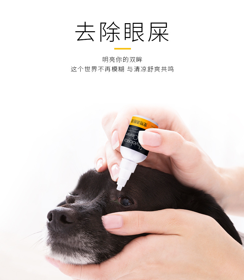 Thú cưng cung cấp cho chó những giọt nước mắt nhân tạo hơn gấu Teddy mèo thuốc nhỏ mắt chống viêm thuốc nhỏ mắt thú cưng - Thuốc nhỏ mắt thuốc nhỏ mắt tobradex