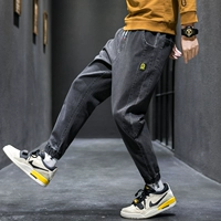 Серый (обычная модель)