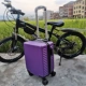 Purple Spring Airlines