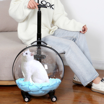 Pet trolley box cat bag go out portable portable large-capacity dog ​​suitcase cat backpack go out space capsule