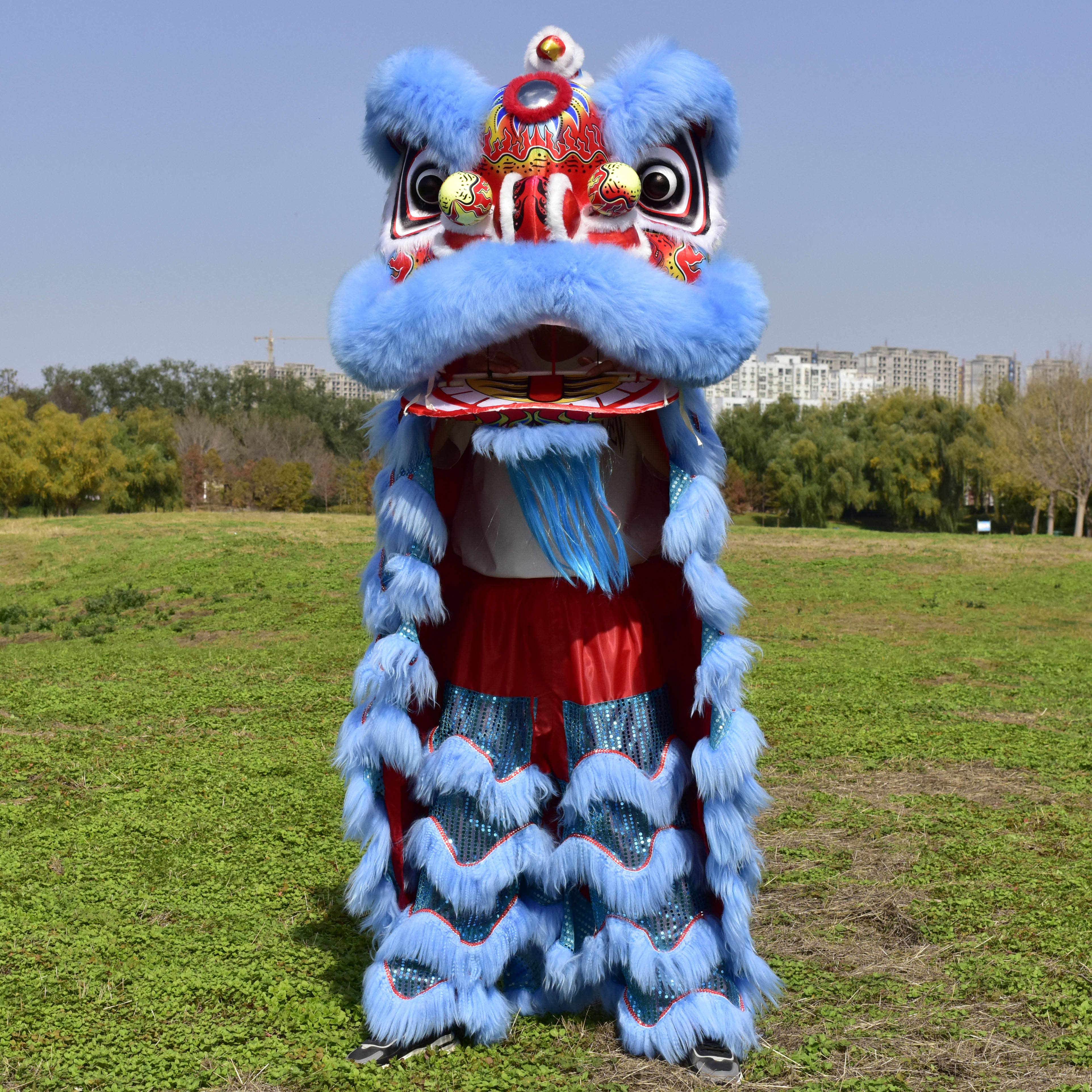成人全套南獅醒獅可眨眼單人披風款羊毛舞獅表演服裝道具獅頭
