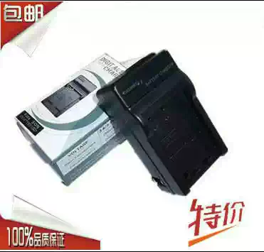 Sony NP-FV100 FH100 CX700E PJ50E 260E VG10E FV70 Battery Charger