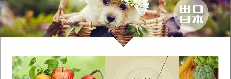 Panier pour vélo LANDON en plastique - Ref 2257265 Image 20