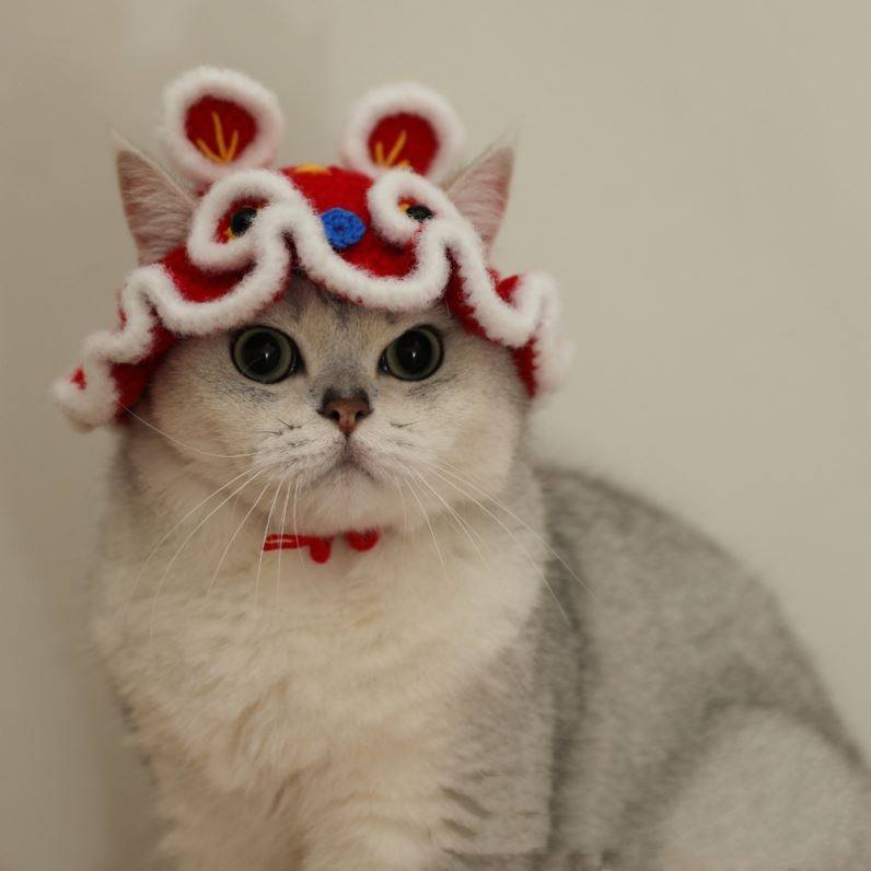 Year of the Tiger Pet Tiger Tiger Head Hat Cat Hat Small Dog Happy New Year Headgear Jewelry Hand Knitted Winter