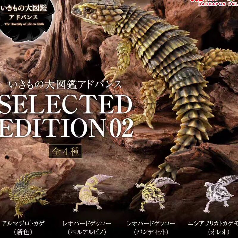 Bandai Biological Encyclopedia Simulation Animal Model Capsule Toy Reptile Selection Armadillo Leopard Gecko Fat-Tailed Gecko