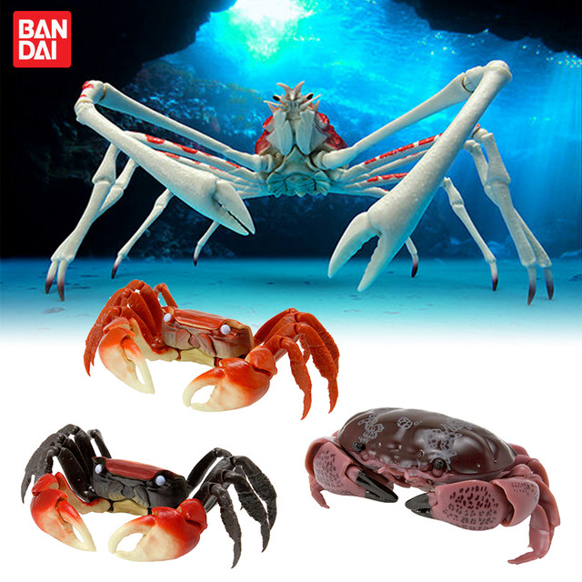 Bandai Biology ຂອງຍີ່ປຸ່ນ Big Illustrated Series Crab 2 Spider Long-legged Crab Aijie Crab Fiddler Crab Spot