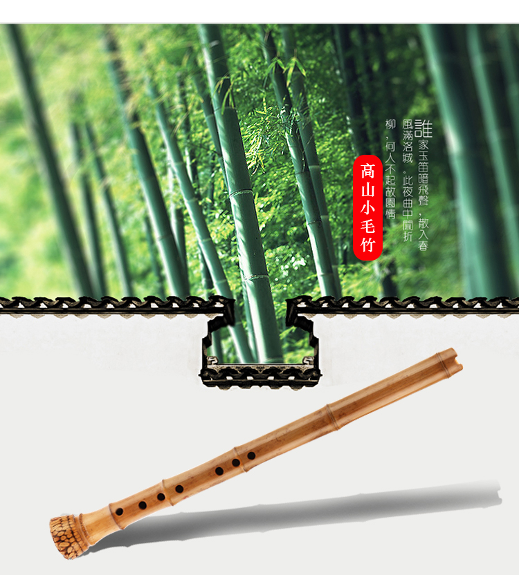 Người mới bắt đầu, Nanxun, Đầu to, Nhạc cụ Xiao, Tre, Trình diễn chuyên nghiệp, Nanxun, Tám lỗ ngắn, Yang County Min, Guizhu - Nhạc cụ dân tộc đàn cổ cầm giá bao nhiều