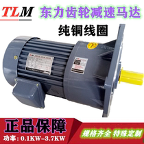 tlm Dongli gear motor 0 75KW frequency control 200W400W750W pure copper 1 1 Vertical 380V220V