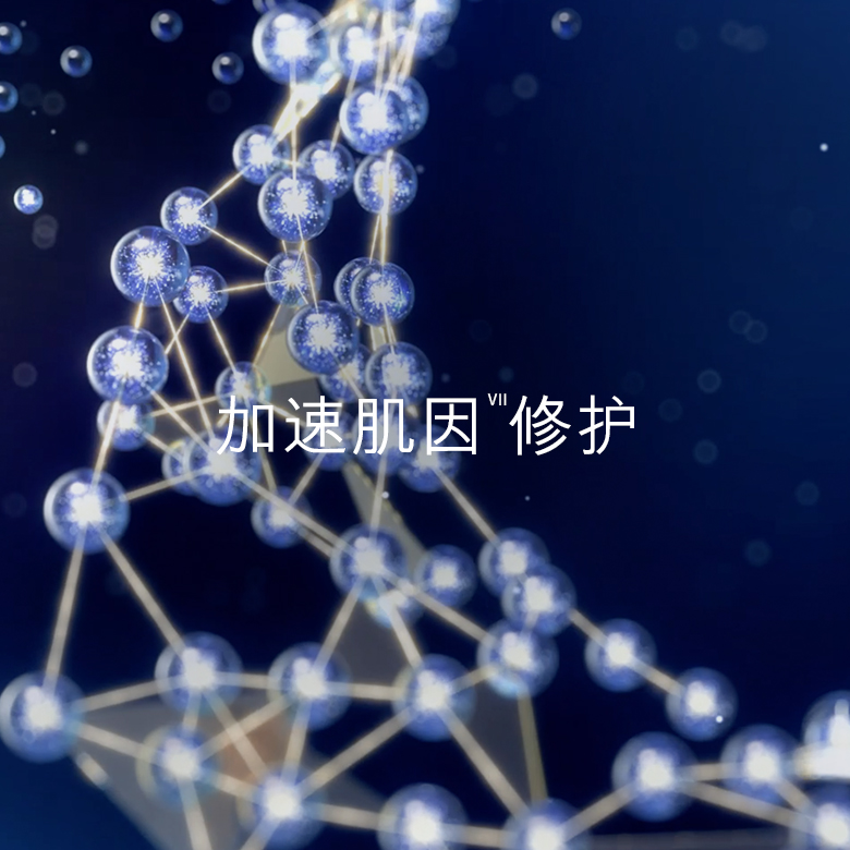 20191206-EL-SPP-SET-R1 Oculus_05.jpg