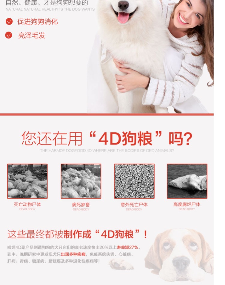 Thức ăn cho chó Viktoria Jin Mao Teddy Samoyed lớn chó nhỏ vật nuôi nói chung chó con trưởng thành thức ăn cho chó 20kg - Chó Staples do an cho cho
