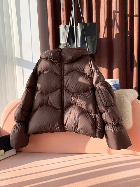 Hooded Cloud-Like Graphene down Jacket for Women, 2024 Winter New High-End Brand Short Duck down Coat