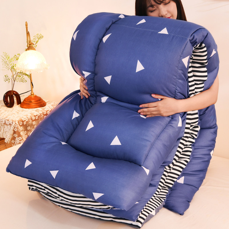 Autumn and winter quilt thickened warm quilt core double futon four seasons universal quilt quilt spring and autumn student dormitory single quilt