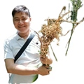 玲源地产药行的LOGO