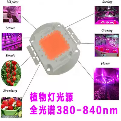 10W 100W Full Spectrum high power LED integrated lamp bead aquarium plant growth fill light source