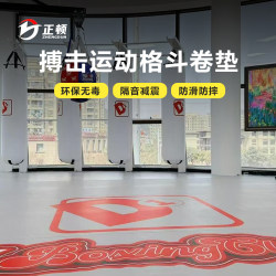 Fighting Mat, Taekwondo Mat, Boxing, Judo, Martial Arts, Sanda, Jiu-Jitsu Training, Protective Sports Mat
