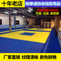 Direct sales non-slip taekwondo mat 1 meter high-density thickened training foam sports mat Gym sanda