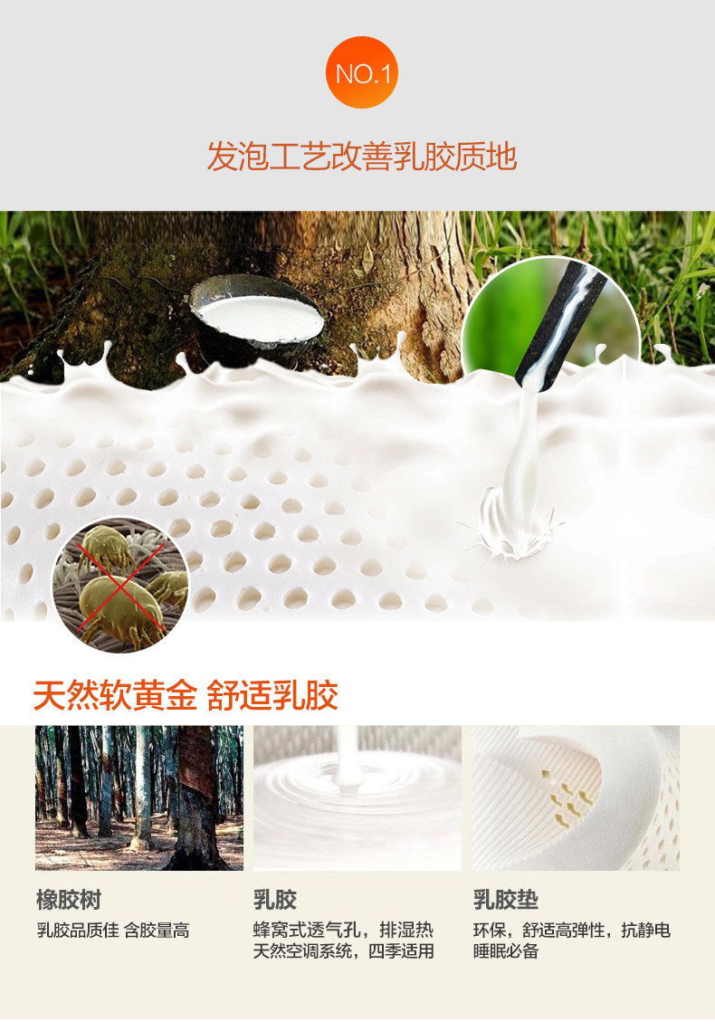 经典版-改_05.jpg